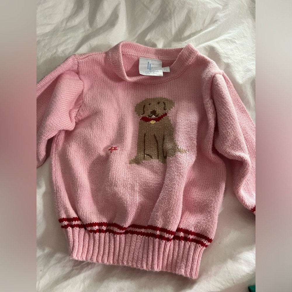 Little English 2T dog sweater